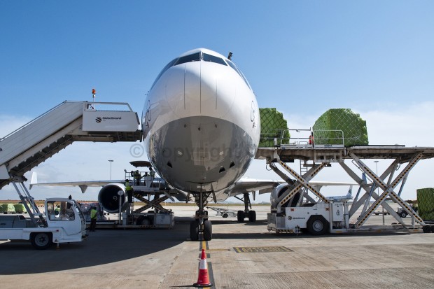 Lufthansa Cargo MD-11F freighter D-ALCC being loaded at Kempegowda airport, Bangalore. Photo copyright Devesh Agarwal.