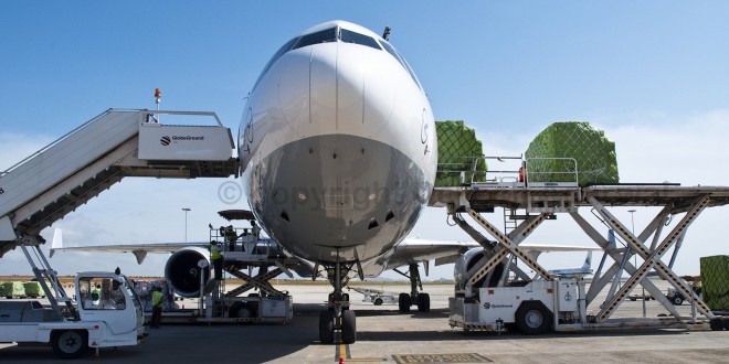 Lufthansa Cargo MD-11F freighter D-ALCC being loaded at Kempegowda airport, Bangalore. Photo copyright Devesh Agarwal.