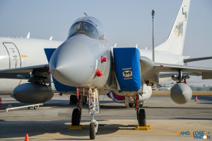 The great tease - The F-15E Strike Eagle which everyone wanted to see fly.