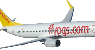 Pegasus Boeing 737 Boeing Image.